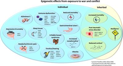 Exposure to war and conflict: The individual and inherited epigenetic effects on health, with a focus on post-traumatic stress disorder
